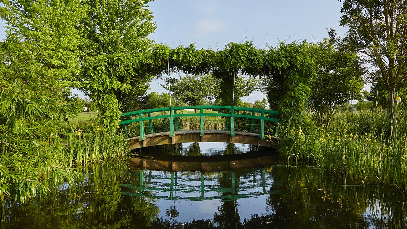 Monet Garden